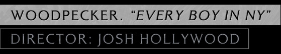 woodpecker. "every boy in NY" Director: Josh Hollywood